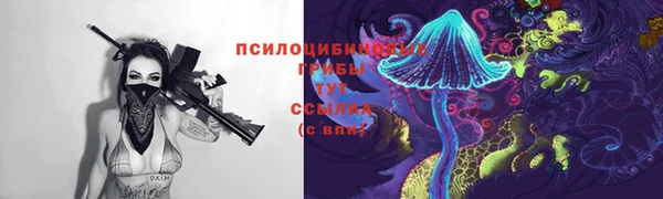 эйфоретик Покачи