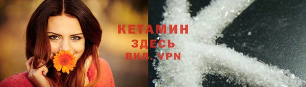 стафф Аркадак