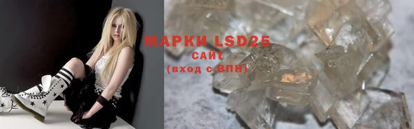 стафф Аркадак