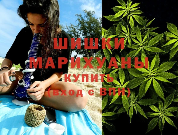 стафф Аркадак